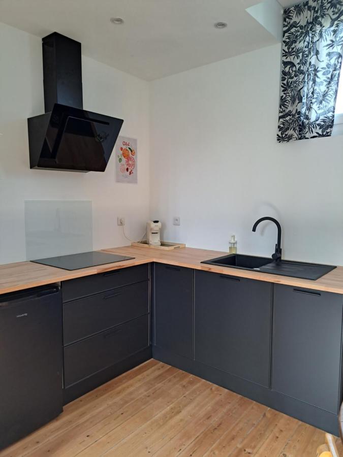 Appartement Calme Dans Maisonnette Graulhet Екстер'єр фото